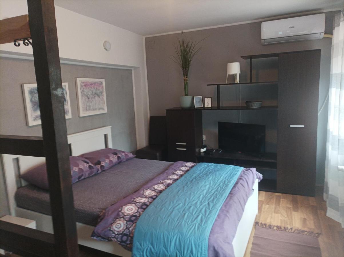 Apartmani Biljana Lazic Vrnjačka Banja Eksteriør bilde