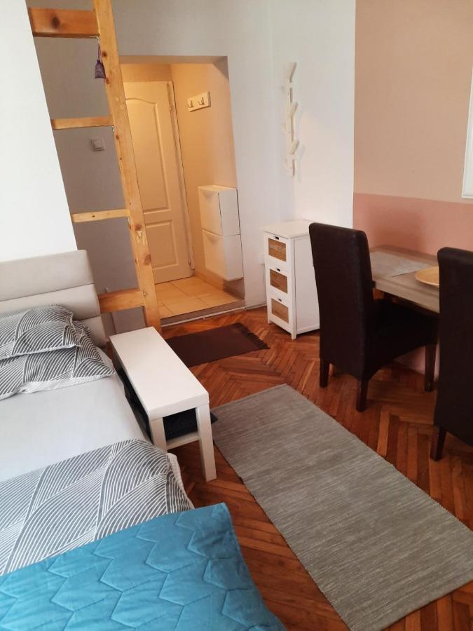 Apartmani Biljana Lazic Vrnjačka Banja Eksteriør bilde