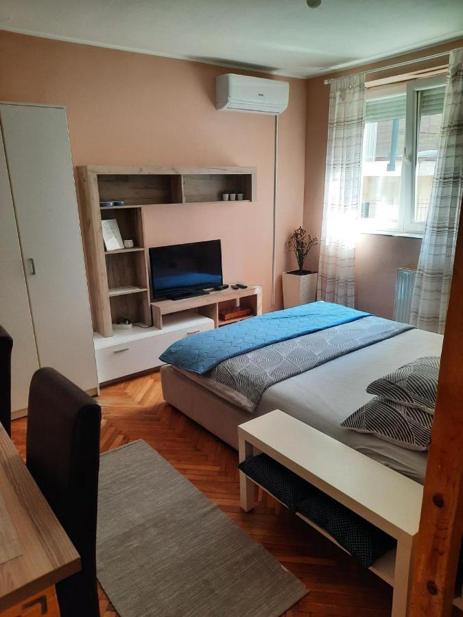 Apartmani Biljana Lazic Vrnjačka Banja Eksteriør bilde