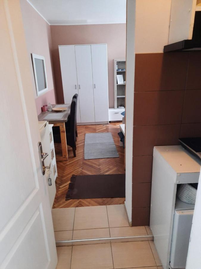 Apartmani Biljana Lazic Vrnjačka Banja Eksteriør bilde