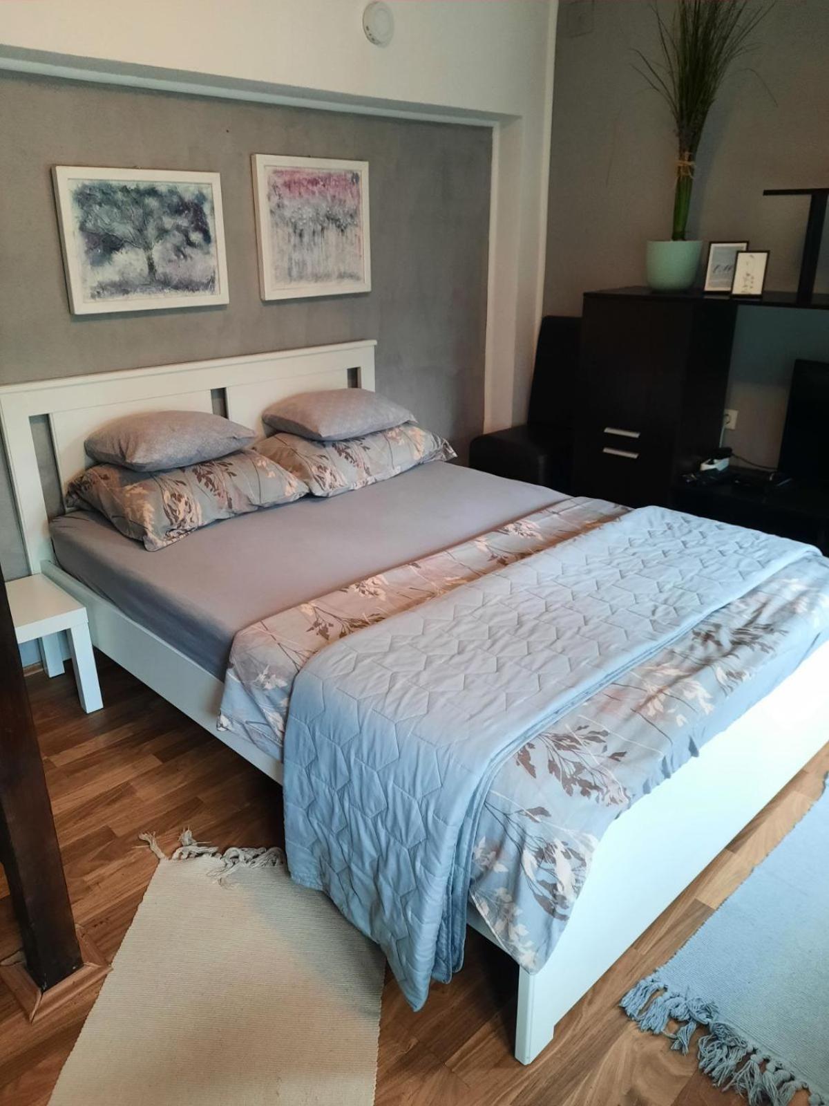 Apartmani Biljana Lazic Vrnjačka Banja Eksteriør bilde